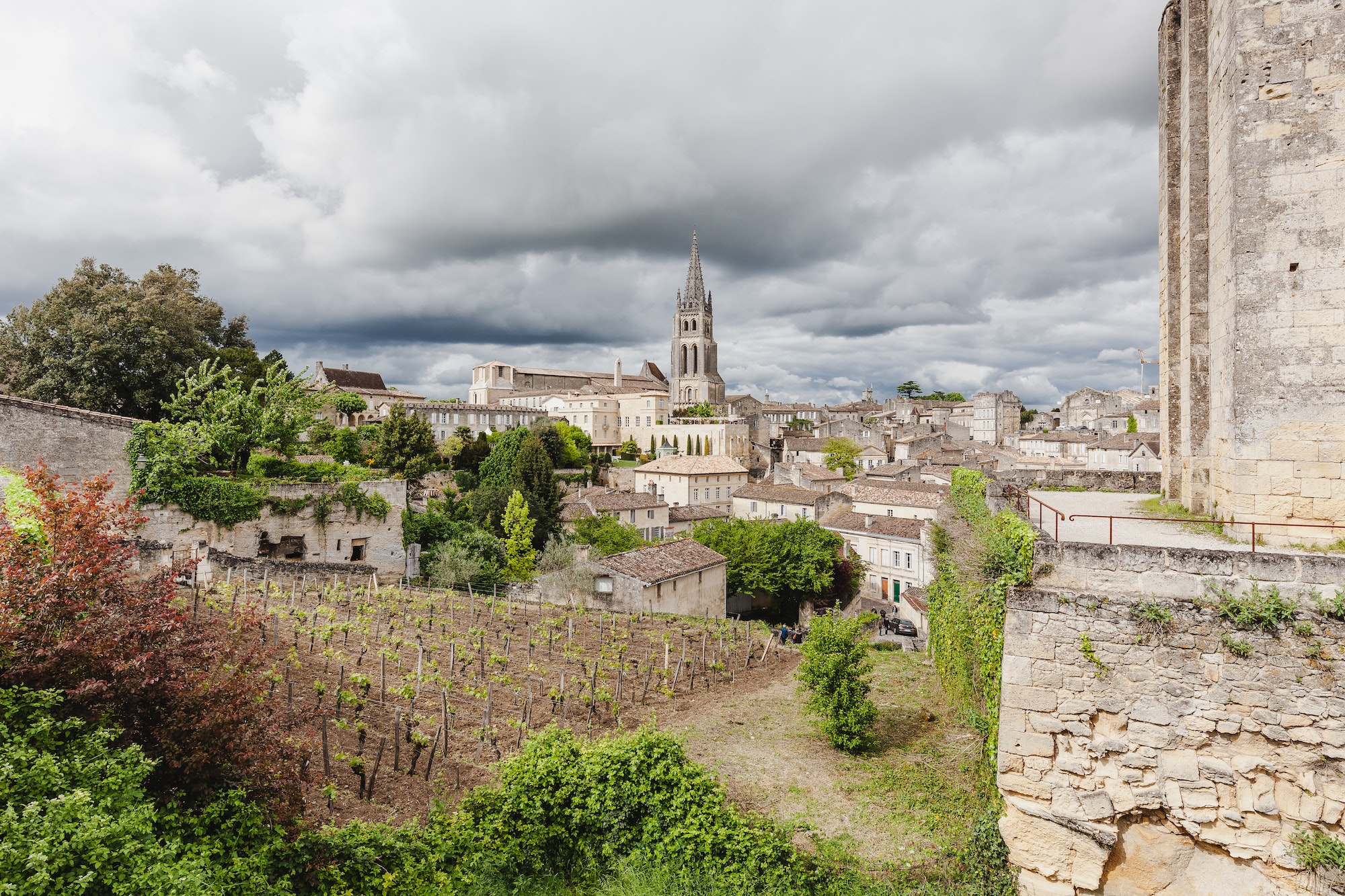 Wine and vineyards around the world - France